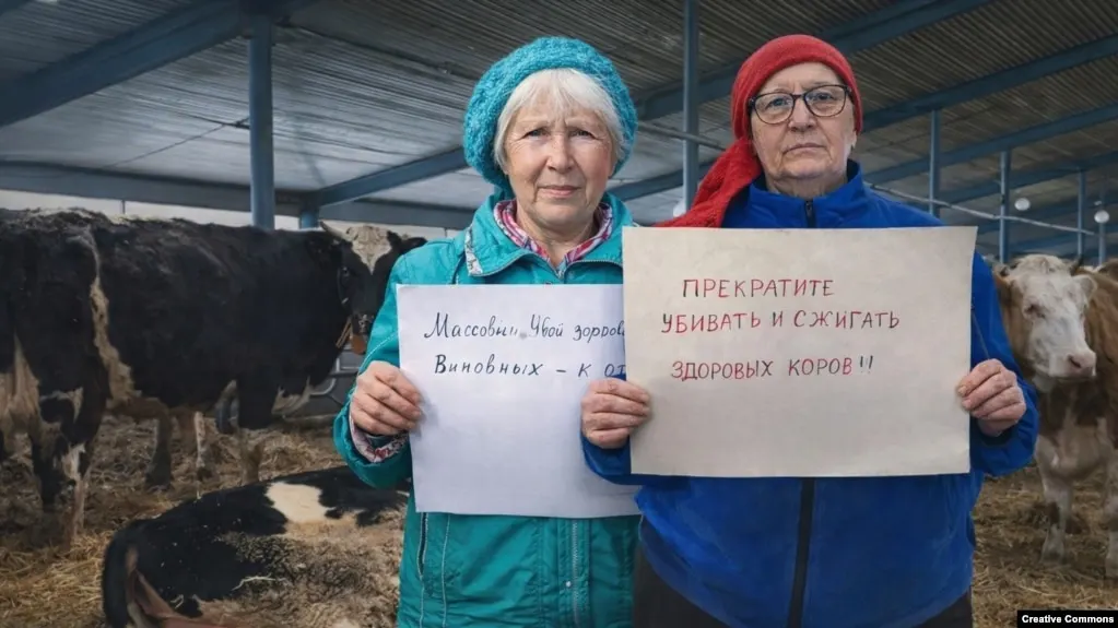 Глава минсельхоза Новосибирской области Андрей Шинделов лишился должности на фоне жалоб к его работе и резонансной кампании по массовому изъятию и уничтожению скота под предлогом борьбы с опасными заболеваниями животных.