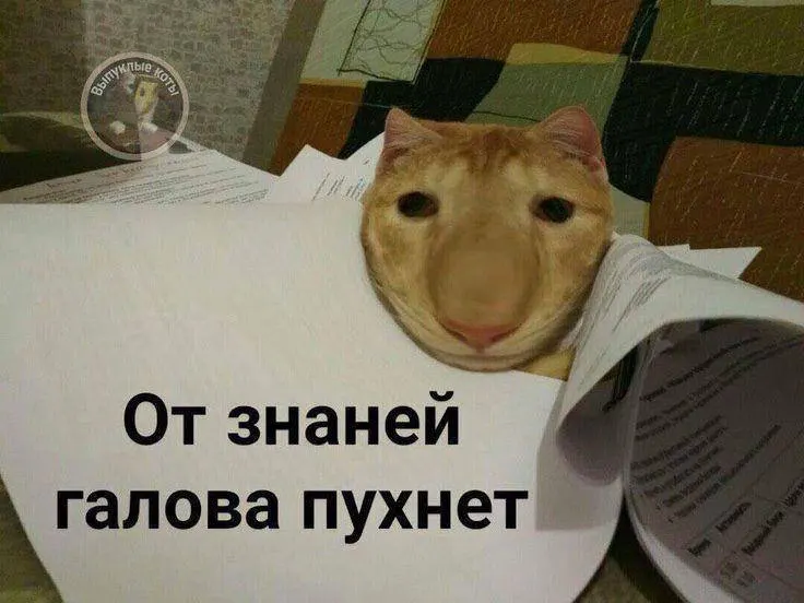 Минспорт планирует ввести тест по пилотированию небольшого дрона в рамках ГТО: пробный запуск — в этом году, а повсеместное внедрение — со следующего. За значок можно будет получить до 10 баллов к результатам экзамена.