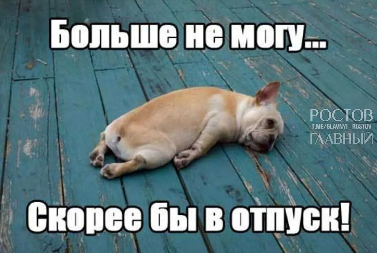 В Госдуме предложили повысить минимальную продолжительность ежегодного отпуска с 28 до 35 дней, чтобы компенсировать выходные, входящие в отпуск, и снизить выгорание.