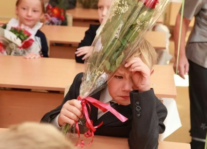 Замглавы Минпросвещения заявил, что 11-летняя система обучения считается оптимальной и сейчас не рассматривают её сокращение или увеличение; все новые стандарты будут внедряться с учётом 11 классов.