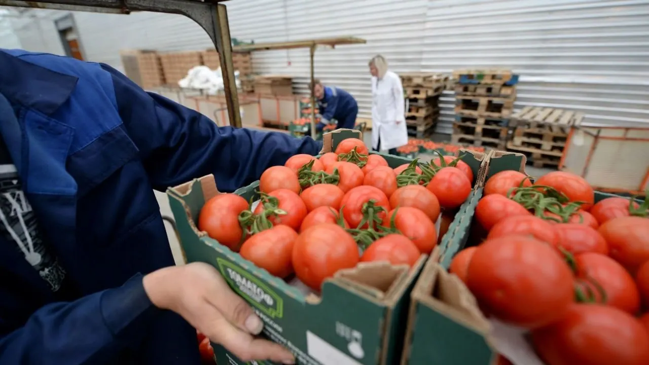 С 12 июня 2026 года запрещён ввоз и транзит любой подкарантинной продукции из Армении до выработки механизмов контроля после повторных выявлений карантинных вредителей.