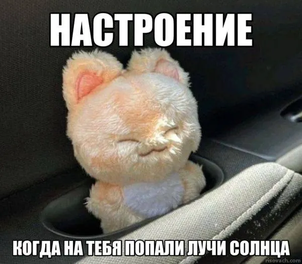 По подсчётам, в Чите 244 солнечных дня в году; в рейтинг также попали Хабаровск, Якутск и ещё ряд городов России.