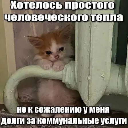 ВС подчеркнул, что исковая давность по долгам за капитальный ремонт составляет три года — задолженности старше этого срока нельзя взыскивать через платёжки и применять к ним принудительные меры.