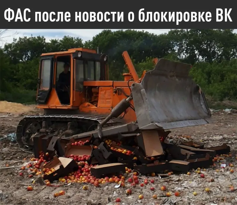 Федеральная антимонопольная служба потребовала от Apple устранить дискриминационные условия для российских поисковых систем и обеспечить предустановку отечественного ПО до 15 июля — в противном случае обещан срок по делу и штраф до 4 млрд рублей.