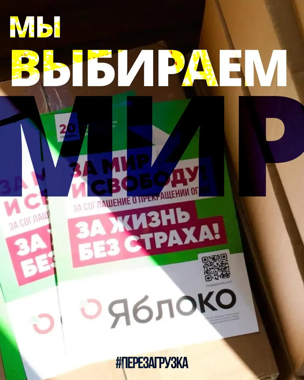 В 53 регионах идёт сбор кандидатов: 135 претендентов от партии борются за поддержку избирателей. Карта региона поможет найти своего кандидата «за мир и свободу».