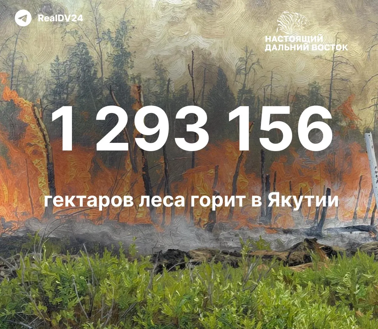 За сезон зафиксировано 485 лесных пожаров; пройдена более 1,29 млн гектаров, площадь очагов продолжает расти.