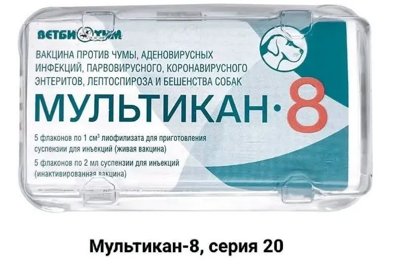 Владельцы погибших от вакцины собак требуют независимого анализа причин гибели и публикации фактов, чтобы установить виновных и предотвратить повторения.