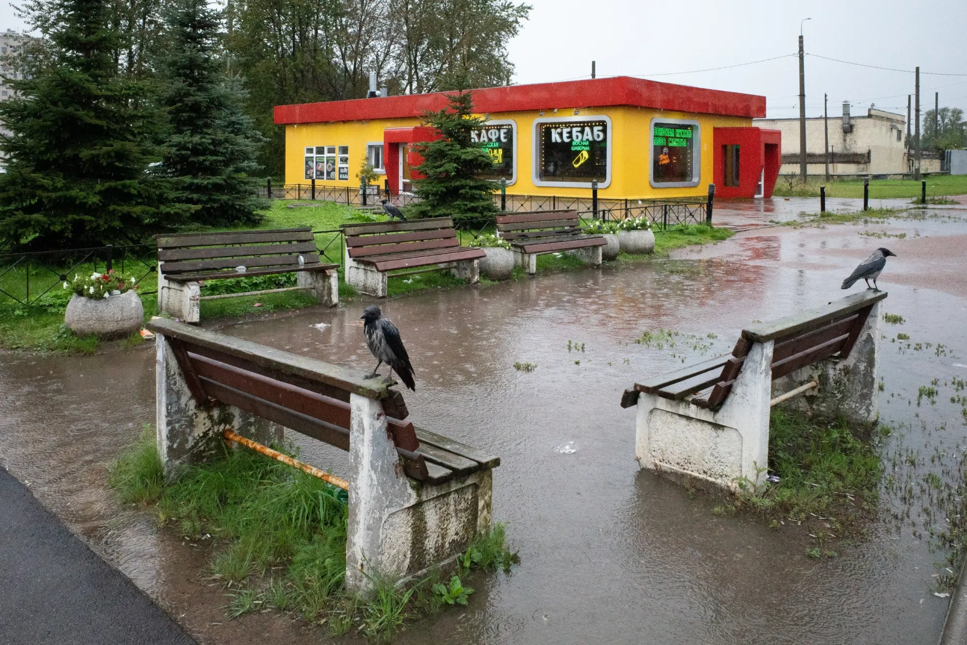 Сводка событий в Петербурге, по России и миру: бракоразвод, политические заявления, атаки и новые заборы на границах.